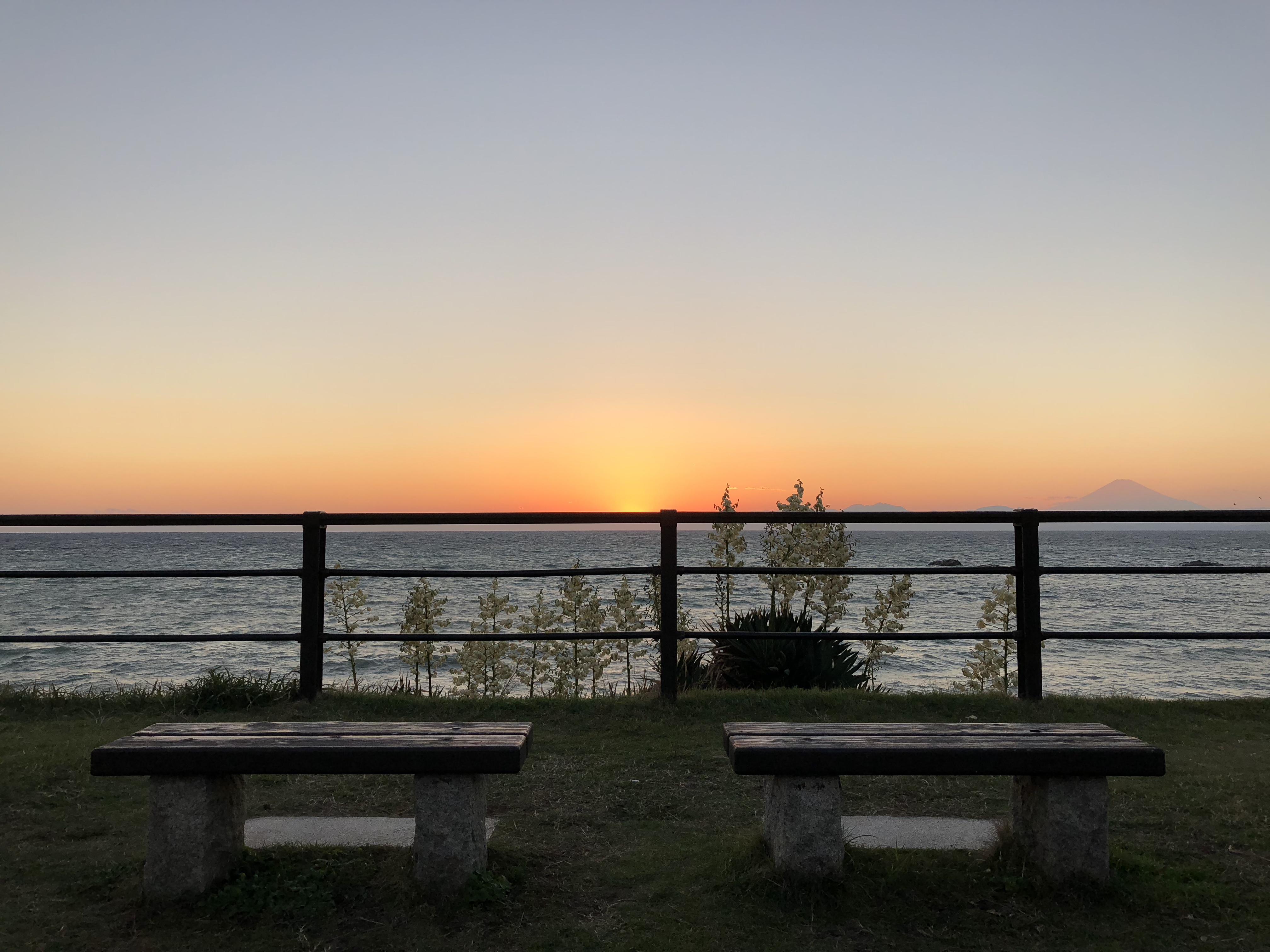 sunset from The Canvas Hayama Park